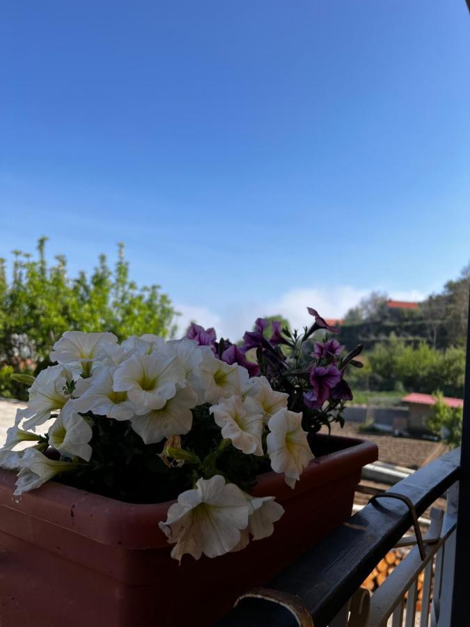 Mamaral 3* Agerola